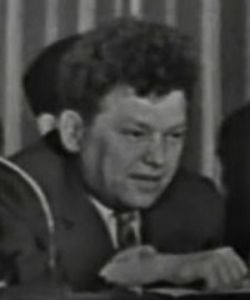 Теплов Лев Павлович российский писатель