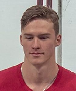 Свечников Андрей Игоревич российский спортсмен, хоккеист